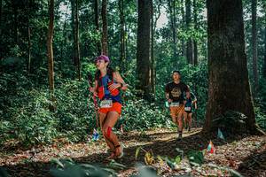 BIB: 
                            <button type="button" onclick="openModal(26081885)" class="btn btn-primary btn-sm float-right btn-popup" data-toggle="modal" data-target=".modal-high-quality">
                        <i class="fas fa-shopping-cart"></i> Add to Cart
                    </button>
                                            <button type="button" onclick="isThisMe(26081885, true)" class="btn btn-success btn-sm float-right btn-popup btn-isme hidden" data-toggle="tooltip" data-placement="bottom" title="นี่คือรูปของคุณใช่ไหม คลิกที่นี่เพื่อเอาเข้าอัลบั้ม">
                        <i class="fas fa-plus"></i> Add to album
                    </button>
                    <button type="button" onclick="isThisMe(26081885, false)" class="btn btn-warning btn-sm float-right btn-popup btn-isnotme hidden">
                        <i class="fas fa-ban"></i> Remove from album
                    </button>